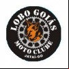 Lobo Goiás